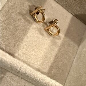 Elegant Gold Hoop Earrings